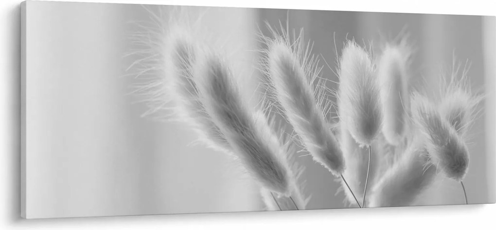 Obraz - Bunny tail grass (120x50 cm)
