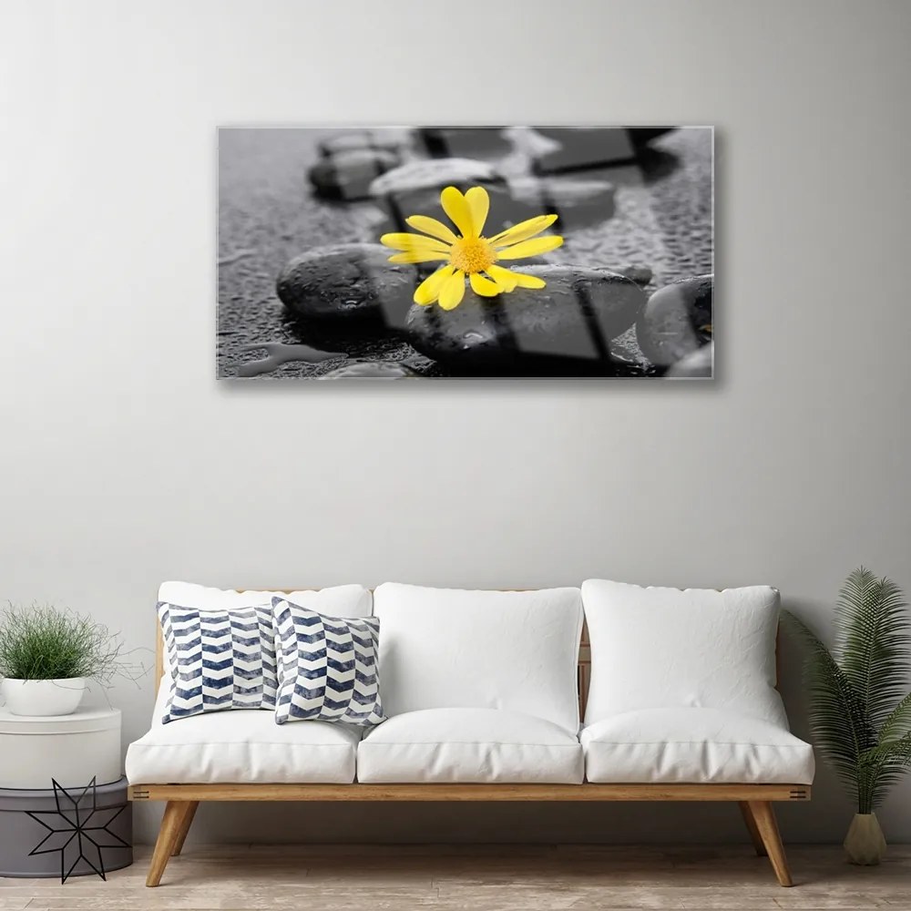 Obraz plexi Kvet kamene rastlina kúpele 100x50 cm