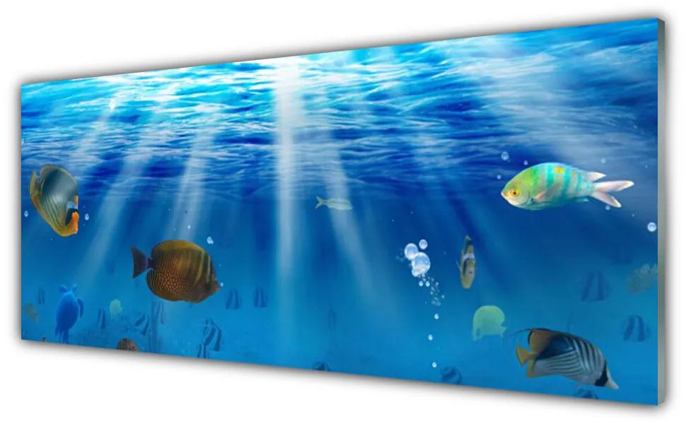 Obraz na akrylátovom skle Ryba príroda 125x50 cm