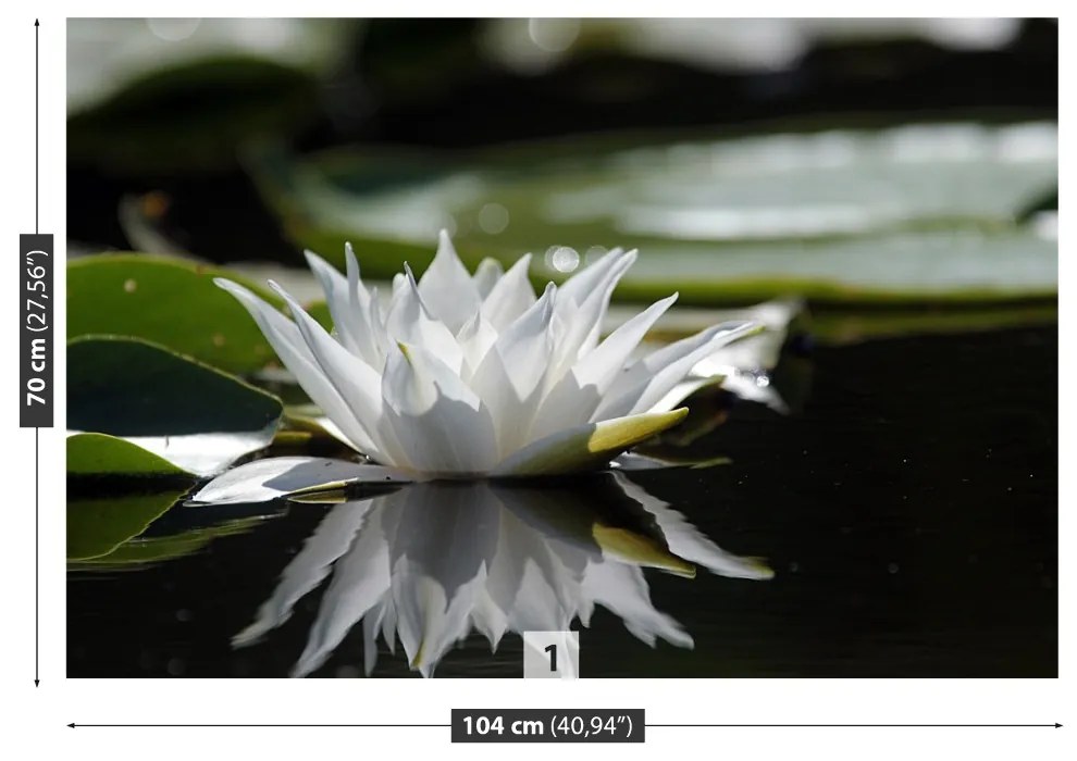 Fototapeta Vliesová Biely lotos 104x70 cm