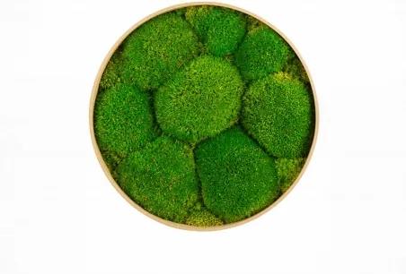 Machový kruh s kopcovitým machom Bolmoss 30 cm prírodna zelená
