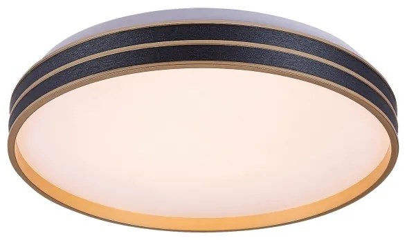 Rabalux 71141 - LED stmievateľné stropné svietidlo GANDOR LED/24W/230V 3000-6500K