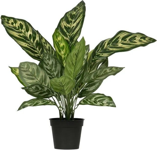 Umelá aglaonema WOOOD, výška 50 cm