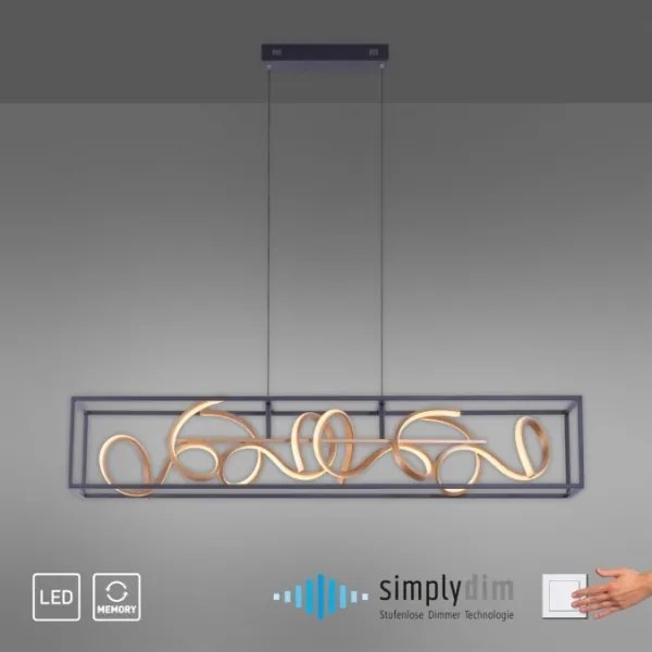 Paul Neuhaus 2416-18 - LED Stmievateľný luster na lanku SELINA 4xLED/10,2W/230V