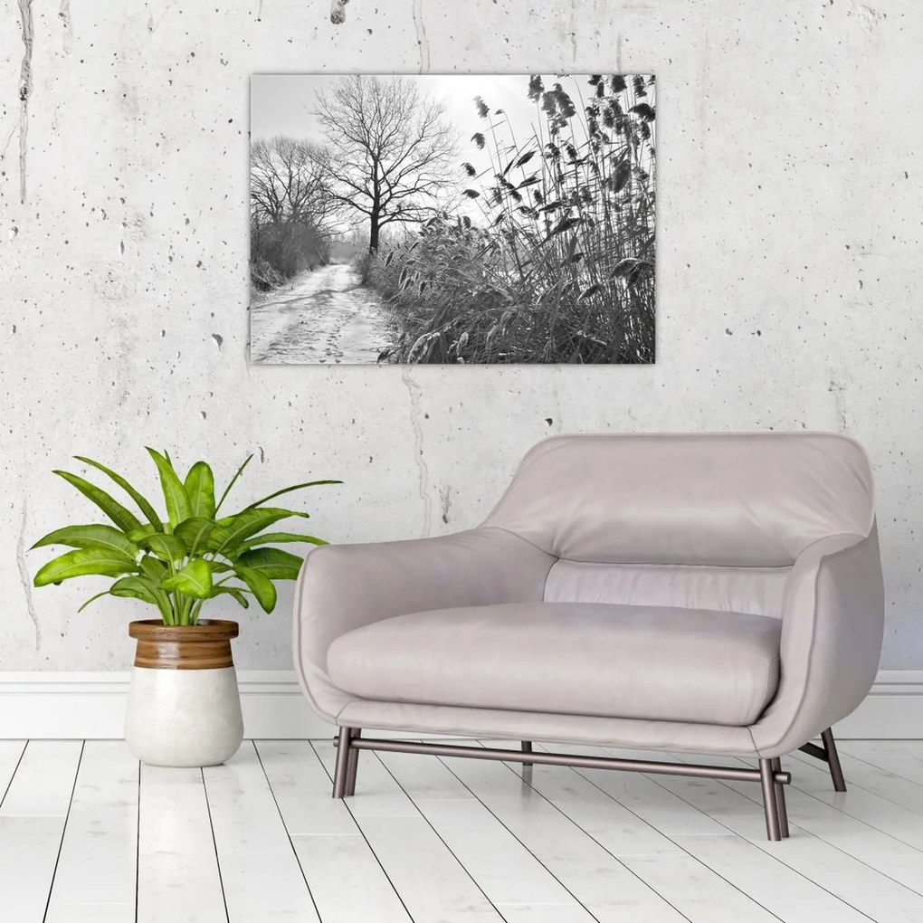 Obraz - Pole v zime (70x50 cm)