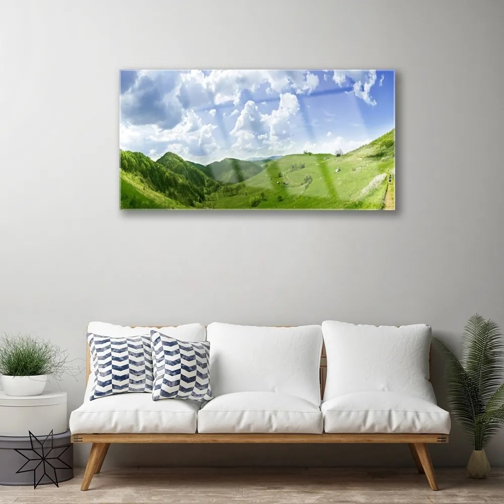 Obraz plexi Hora lúka príroda 100x50 cm