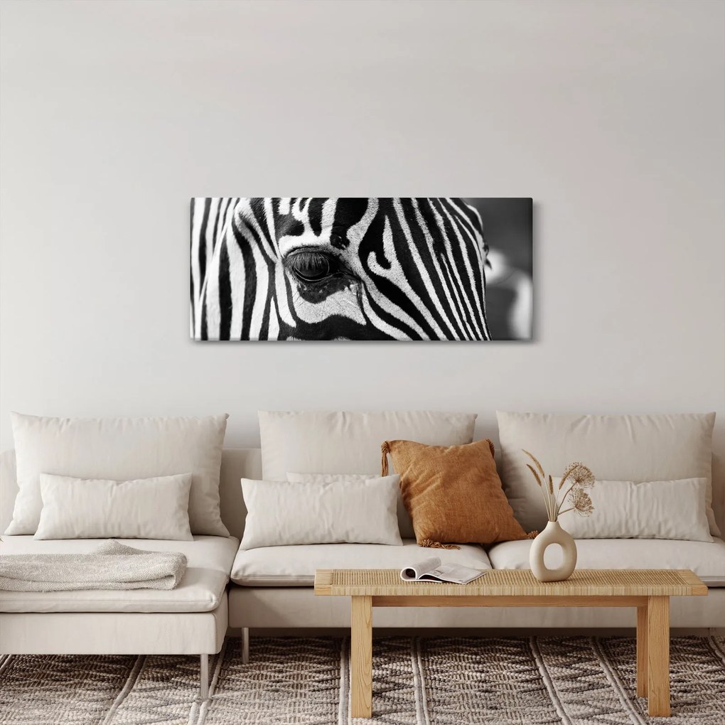 Obraz zebry (120x50 cm)
