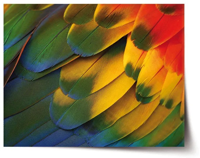 Sablio Plagát Farebné perie - 90x60 cm