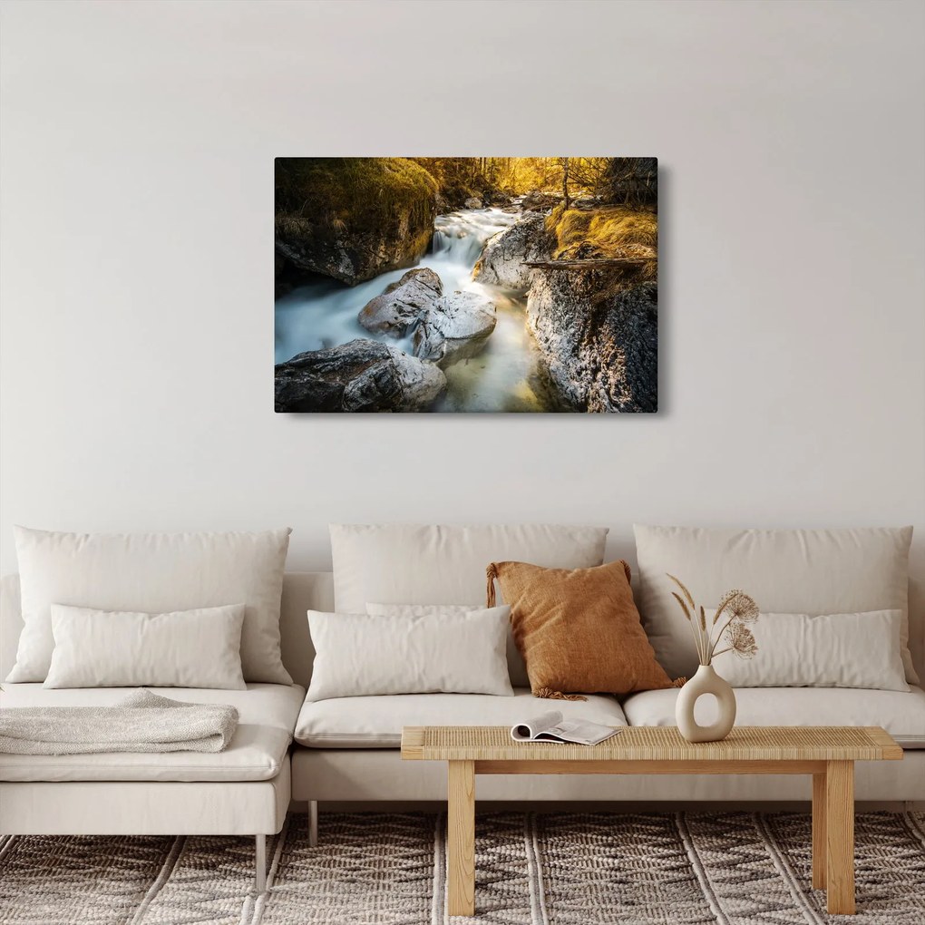 Obraz - Lesný potok (90x60 cm)