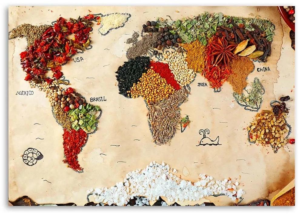Obraz na plátně Mapa světa Koření - 100x70 cm