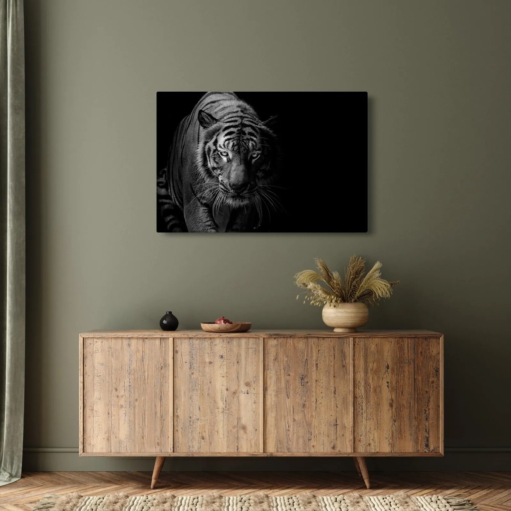 Obraz divokého tigra (90x60 cm)