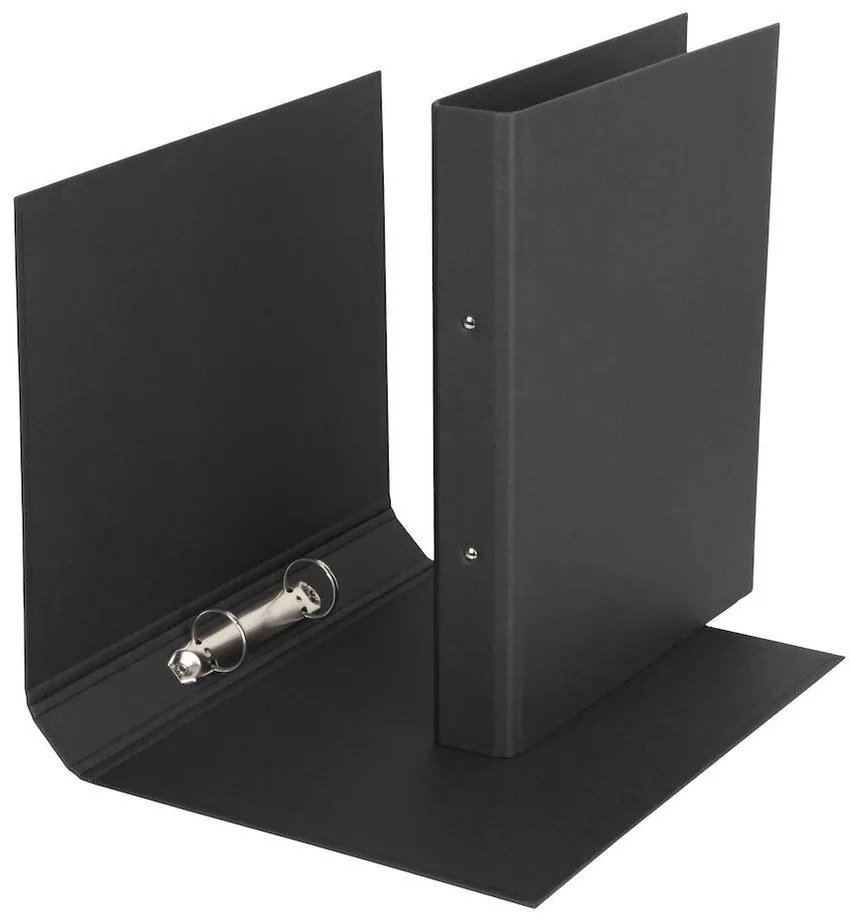 Kartónový organizér na dokumenty Ringo – Bigso Box of Sweden