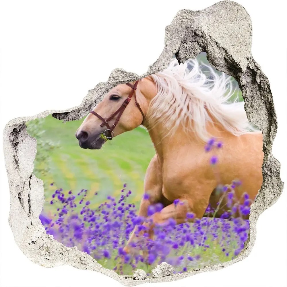 Diera 3D fototapety Kôň na poli levandule WallHole-75x75-piask-84450910