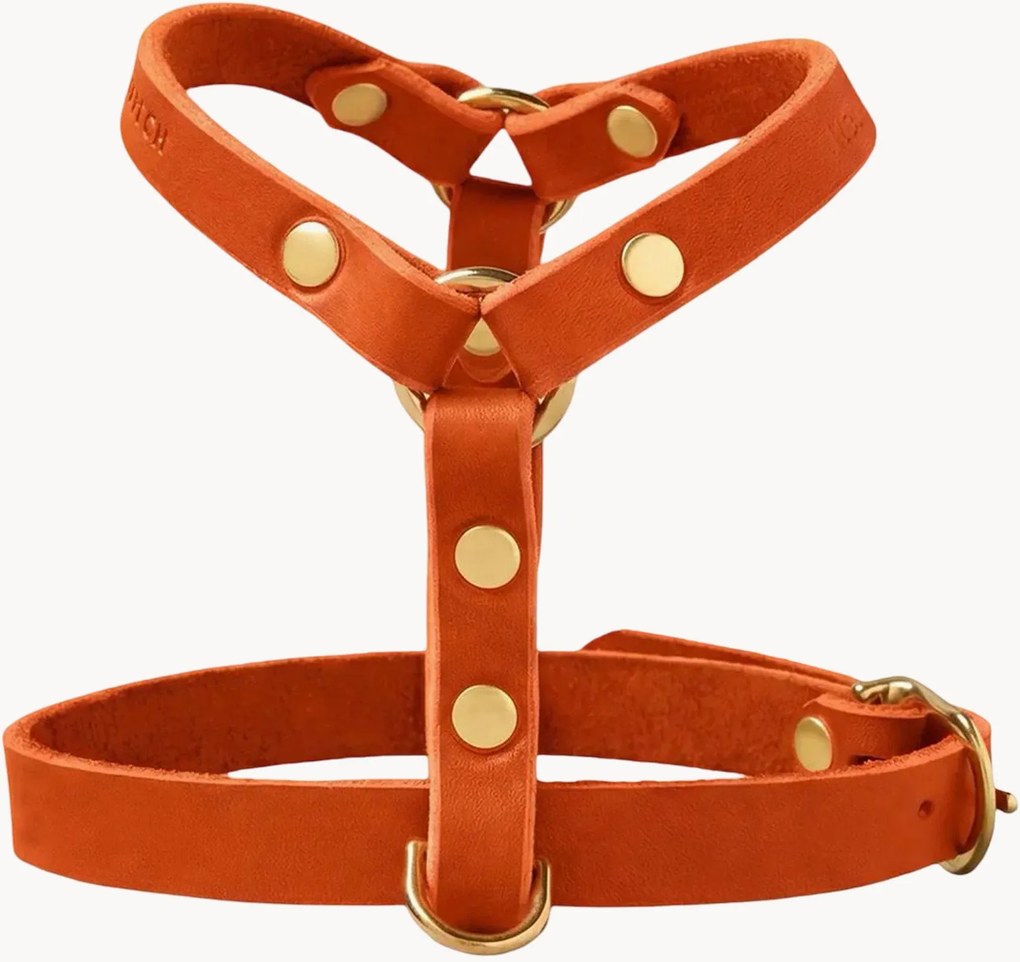Kožený postroj pre psa Y-Harness, rôzne veľkosti