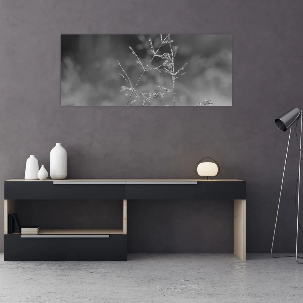 Obraz - Vidiecka lúka (120x50 cm)