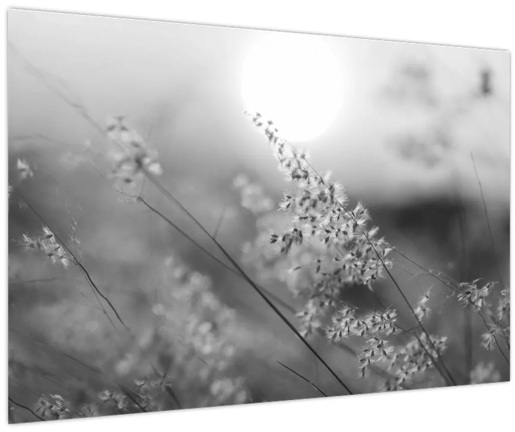Obraz - Jesenná lúka (90x60 cm)