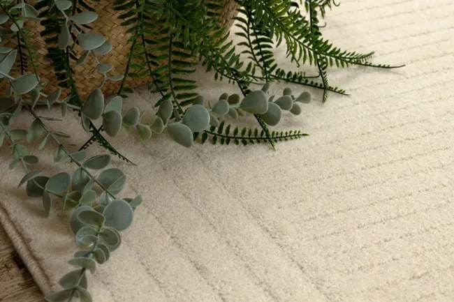 Koberec TEXTURA 488.16.LA100 Osta krémový