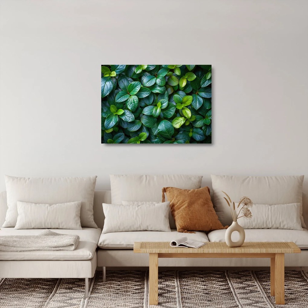 Sklenený obraz - Zelené rastliny (70x50 cm)