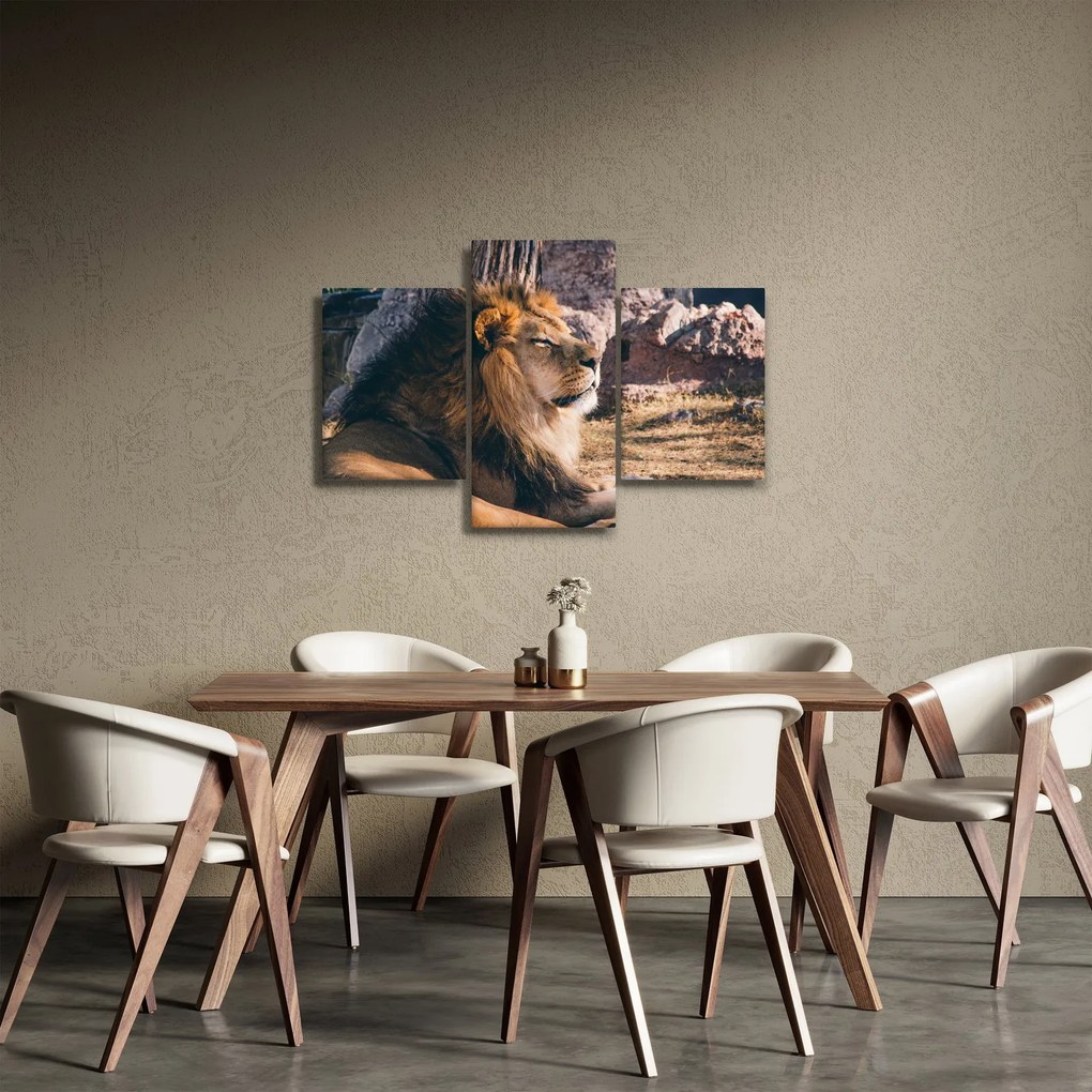 Obraz ležiaceho leva (90x60 cm)