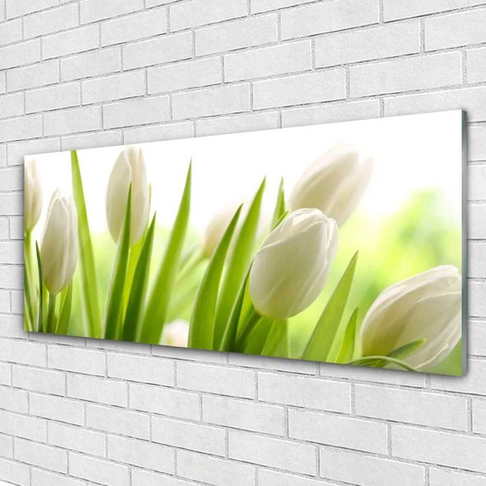 Obraz na akrylátovom skle Tulipány kvety 125x50 cm