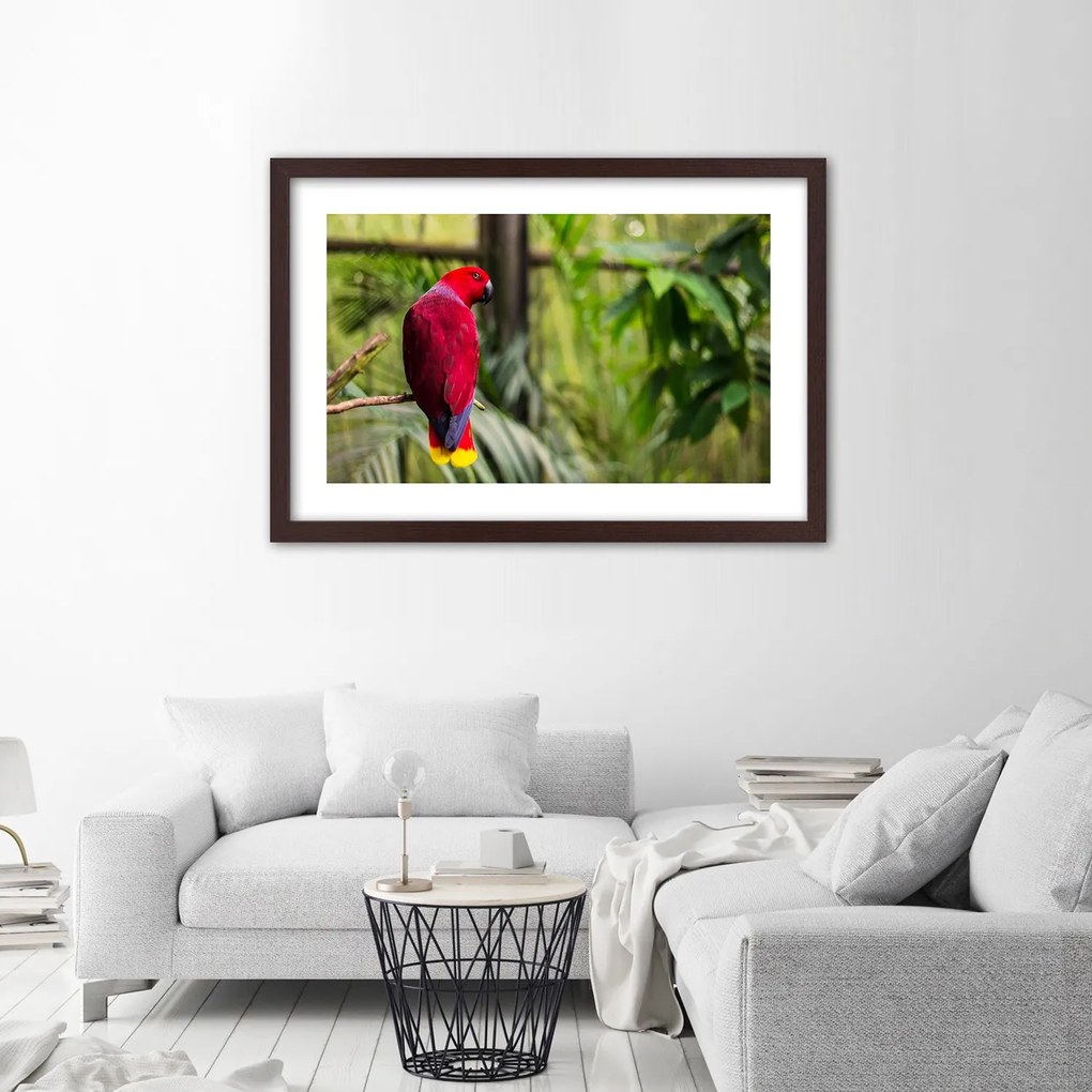 Gario Plagát Papagáj z raja Farba rámu: Bez rámu, Rozmery: 60 x 40 cm