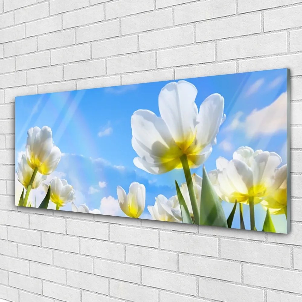 Obraz plexi Rastliny kvety tulipány 125x50 cm