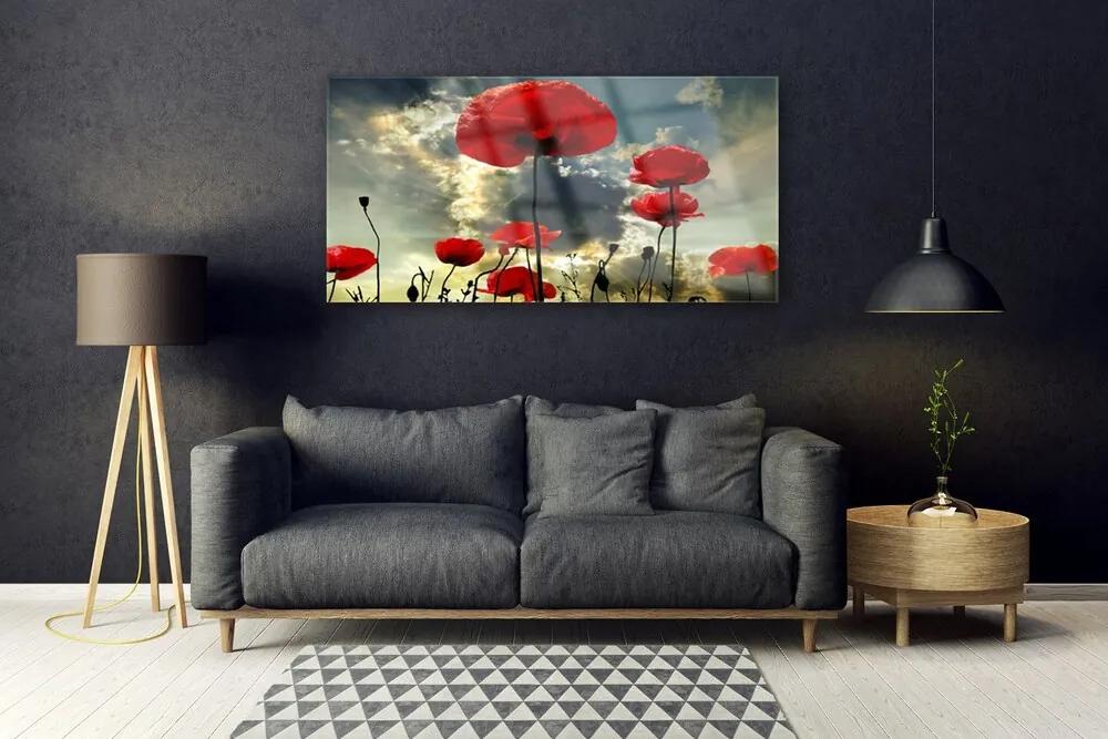 Obraz plexi Maky kvety príroda 120x60 cm
