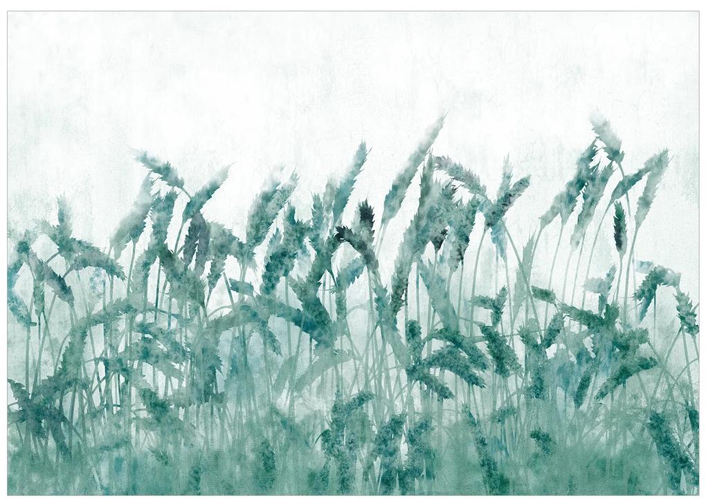 Artgeist Fototapeta - Blue Ears of Wheat Veľkosť: 196x140, Verzia: Samolepiaca