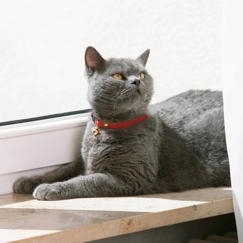 Die moderne Hausfrau Pružný obojek pro kočku