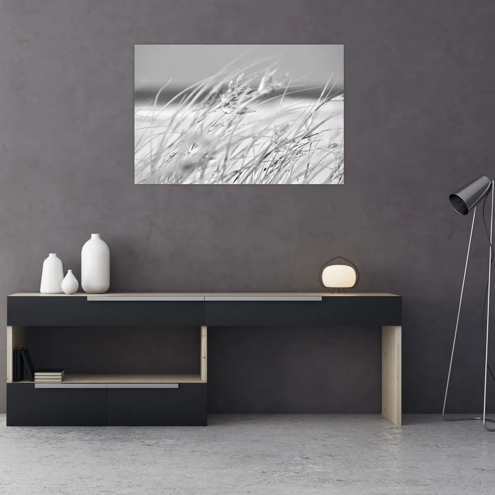 Obraz - Plážová tráva (90x60 cm)