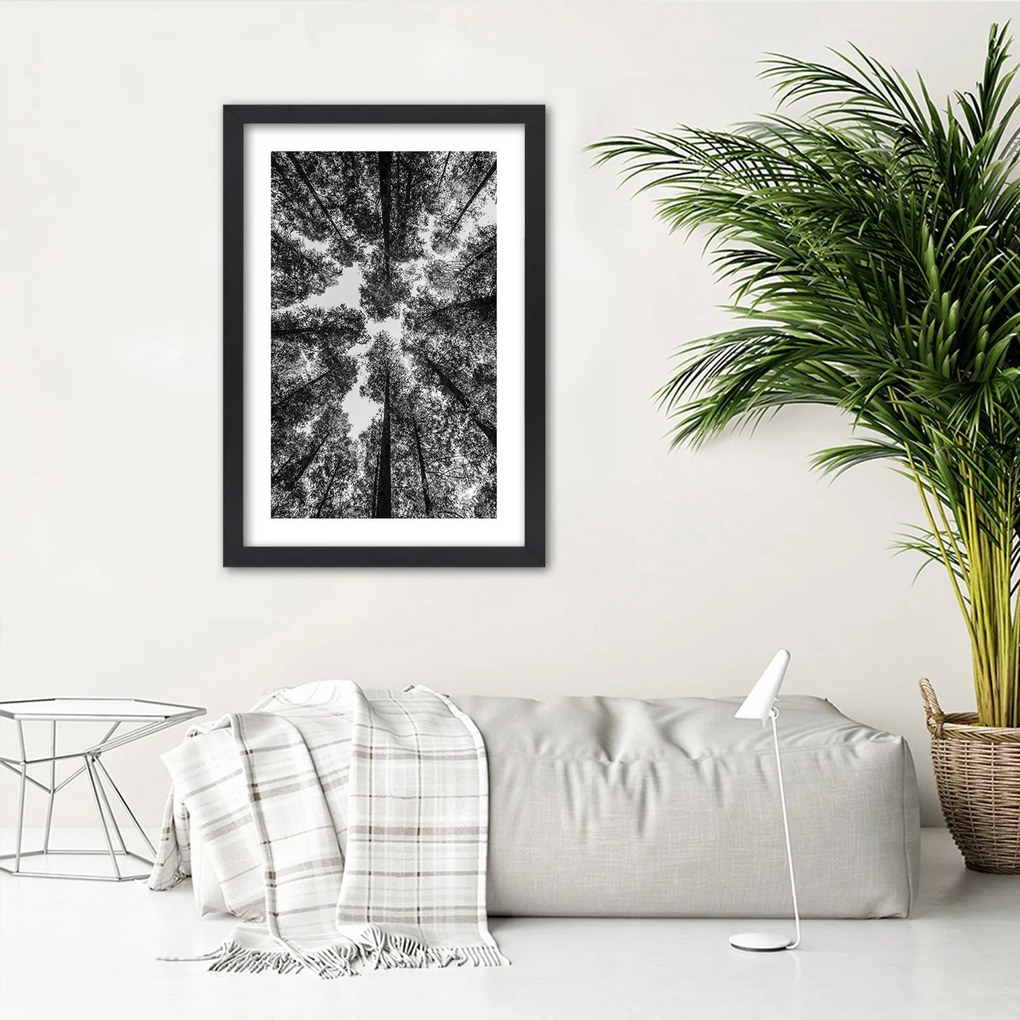 Gario Plagát Koruny stromov Farba rámu: Bez rámu, Rozmery: 30 x 45 cm