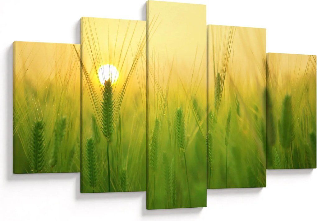 Obraz - Pole s obilím (150x105 cm)