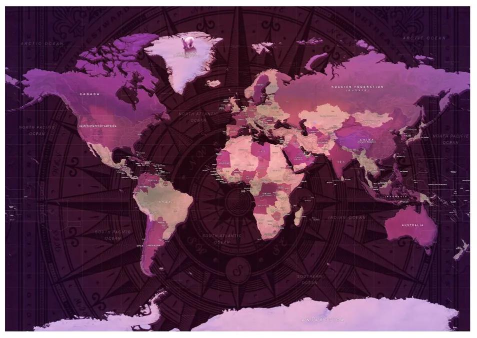 Samolepiaca fototapeta Purple World Map