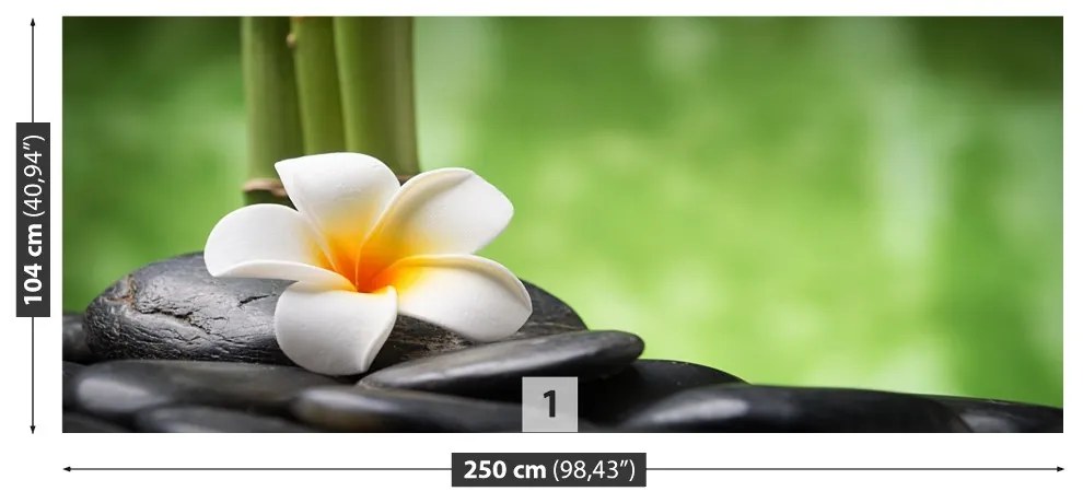 Fototapeta Vliesová Kúpele kvetina 152x104 cm