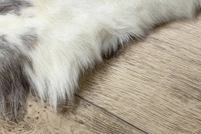 Koberec RENIFER POK007 krémový / sivý