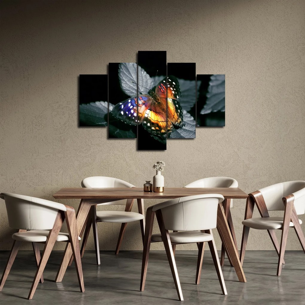 Obraz motýľa (150x105 cm)
