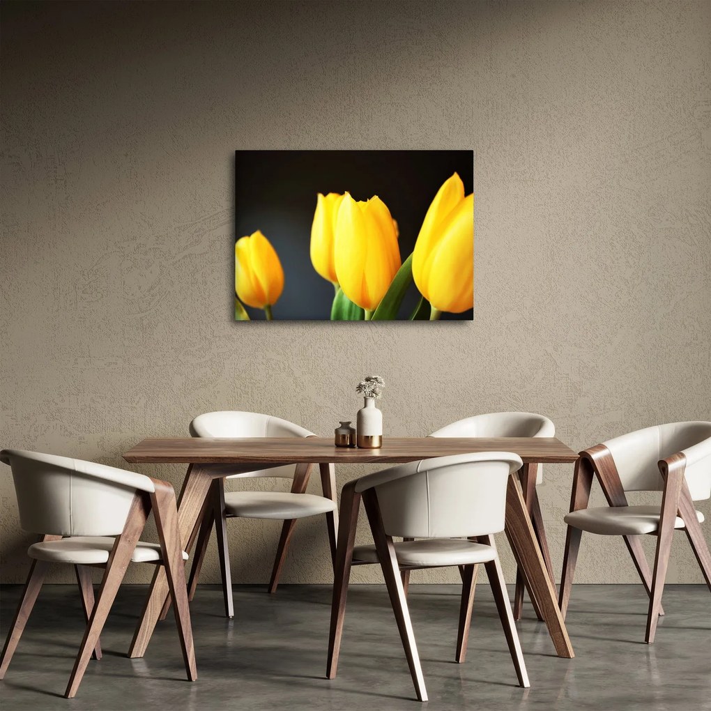 Obraz tulipánov (70x50 cm)