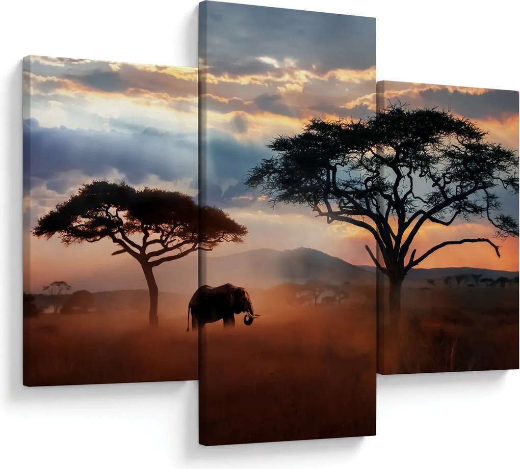 Obraz - Národný park Serengeti, Tanzánia, Afrika (90x60 cm)