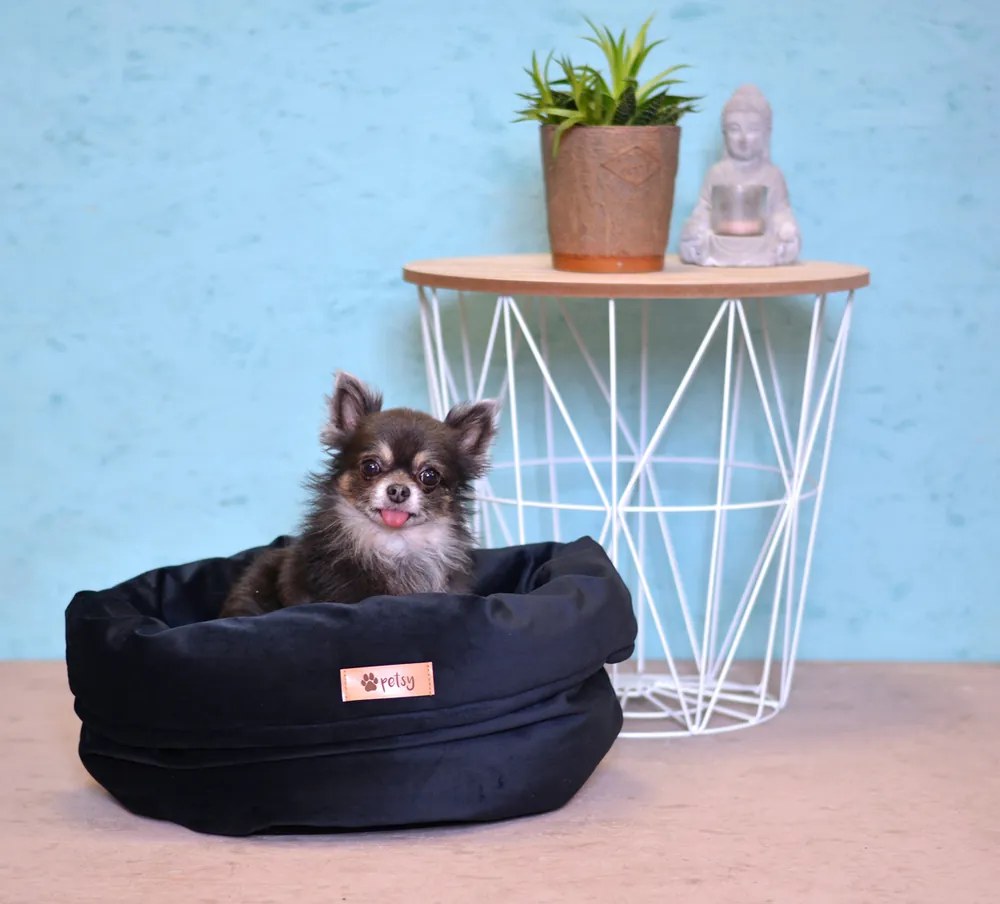 PETSY Pelech "BASKET" ROYAL / MODRÁ