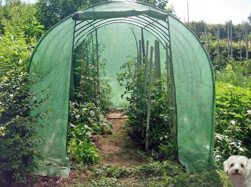 Kvalitný záhradný fóliovník 2,5 x 5 m