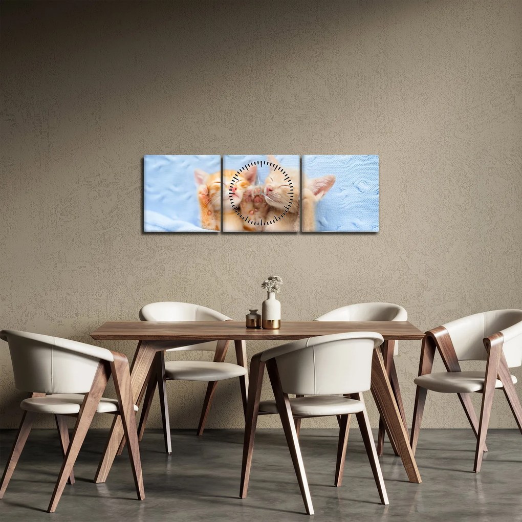 Obraz - Spiace mačiatka (s hodinami) (90x30 cm)