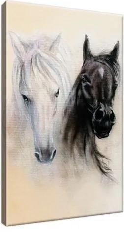 Obraz na plátne Black and White Horses 20x30cm 2502A_1S