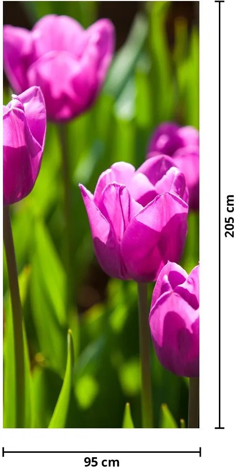 Fototapeta na dvere - Tulipány na lúke (95x205cm)