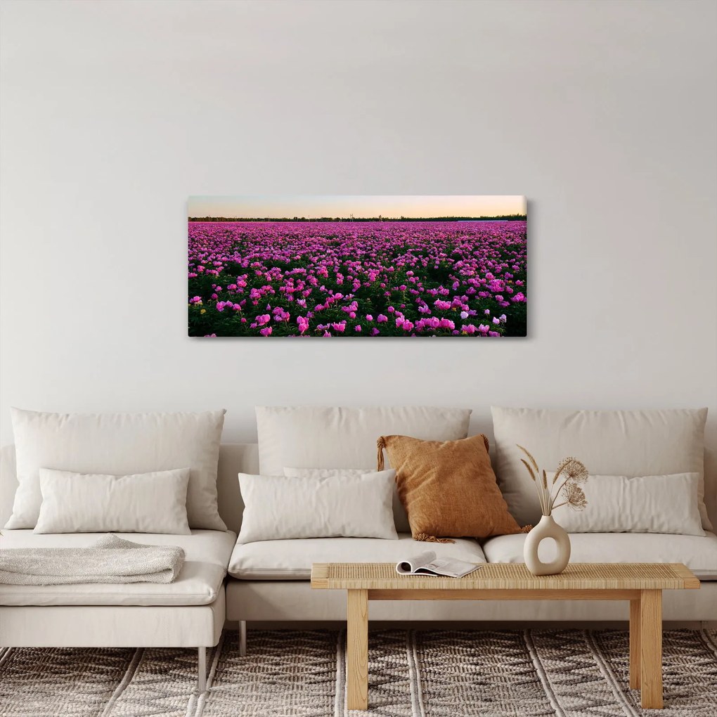 Obraz - Lúka fialových tulipánov (120x50 cm)
