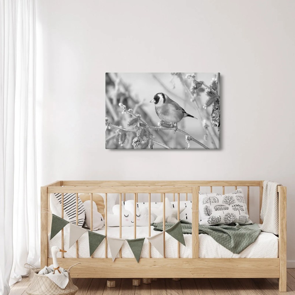 Obraz - Vtáčik v zime (90x60 cm)