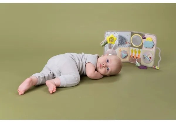 Taf Toys - Závesný pult do postieľky s melódiou Zahrada 3xAAA