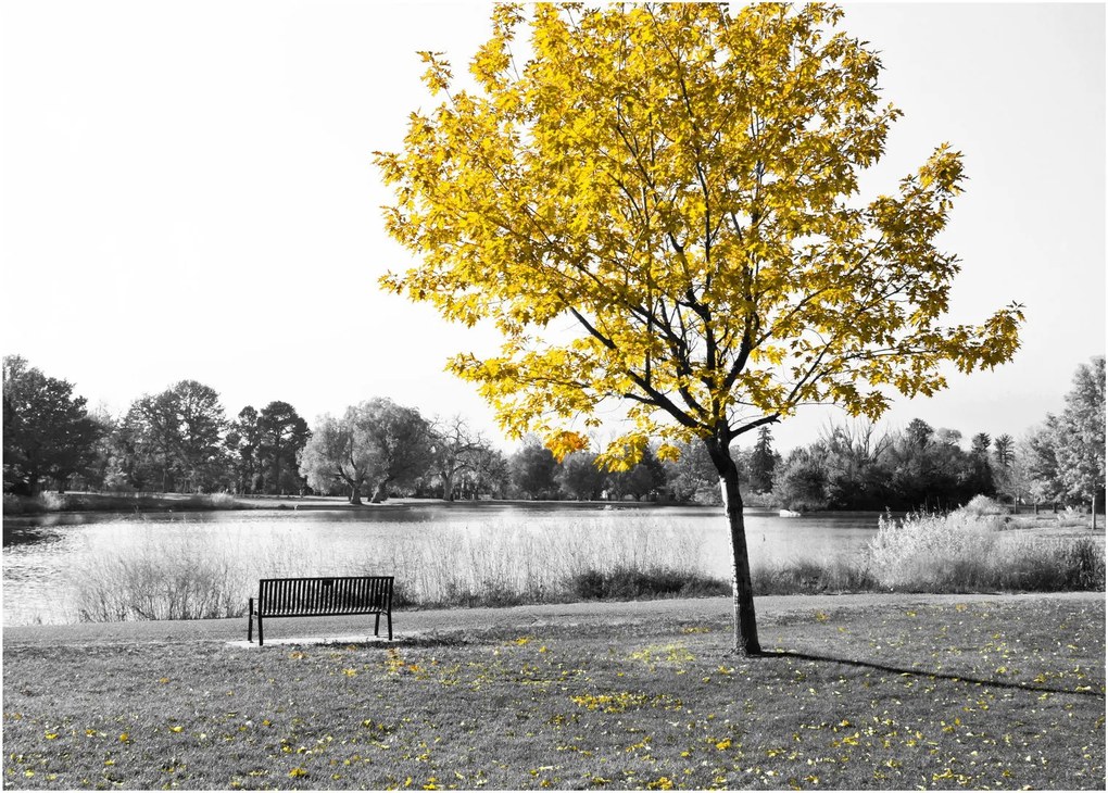 Obraz - Odpočinok v parku (70x50 cm)