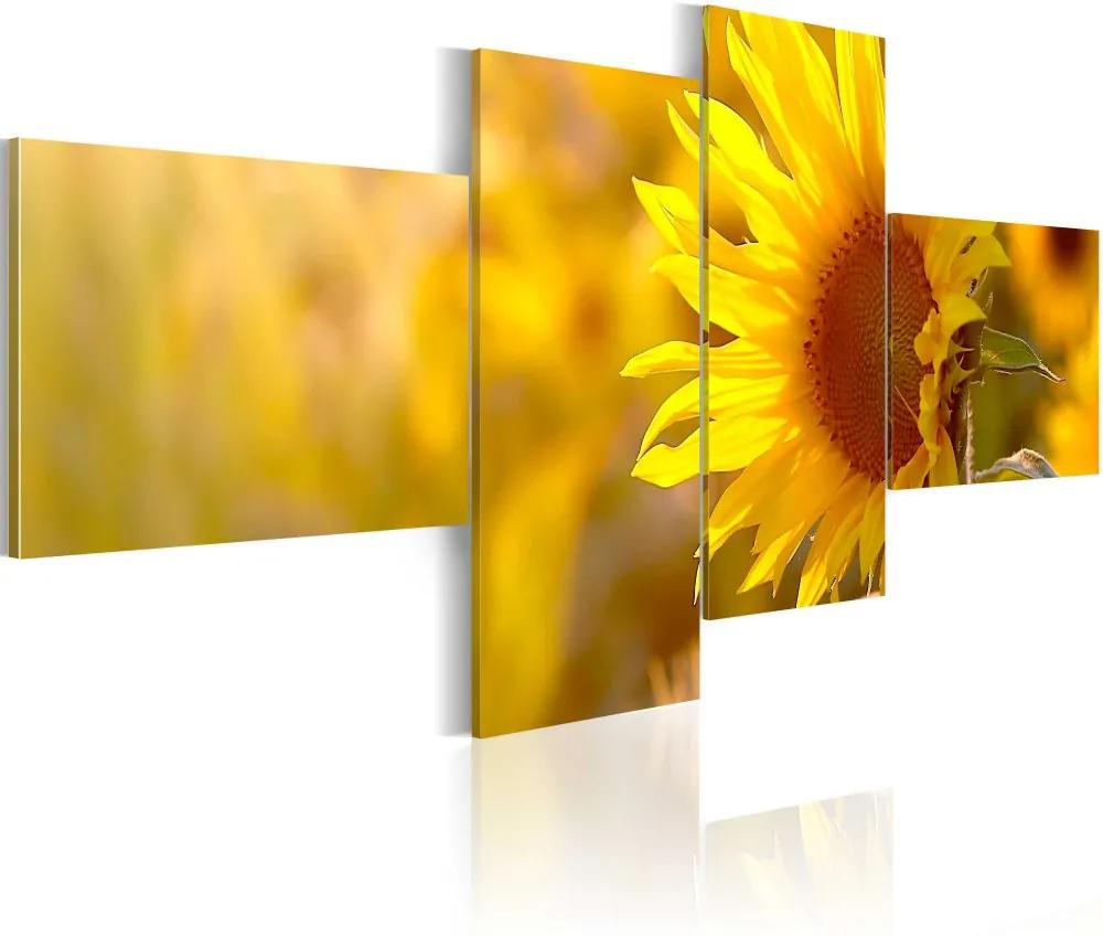 Obraz na plátne Bimago - Žlutá slunečnice 100x45 cm