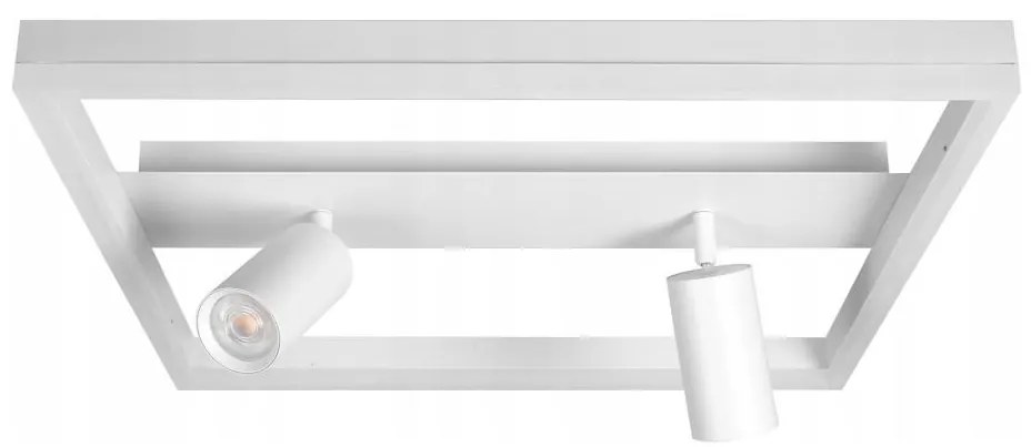 LED stropné svietidlo LED/38W/230V + 2xGU10/30W biela