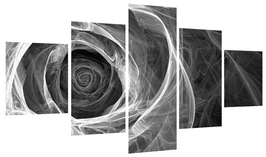 Čiernobiely obraz abstraktnej ruže (K012130K12570)
